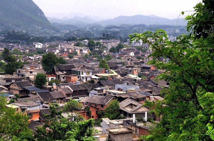 饿狮救援